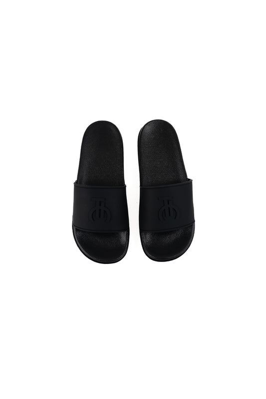 TIC "3D LOGO" SLIDES