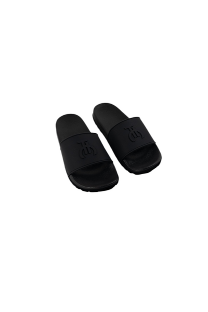 TIC "3D LOGO" SLIDES